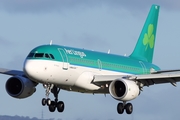 Aer Lingus Airbus A319-111 (EI-EPS) at  Belfast - George Best City, United Kingdom
