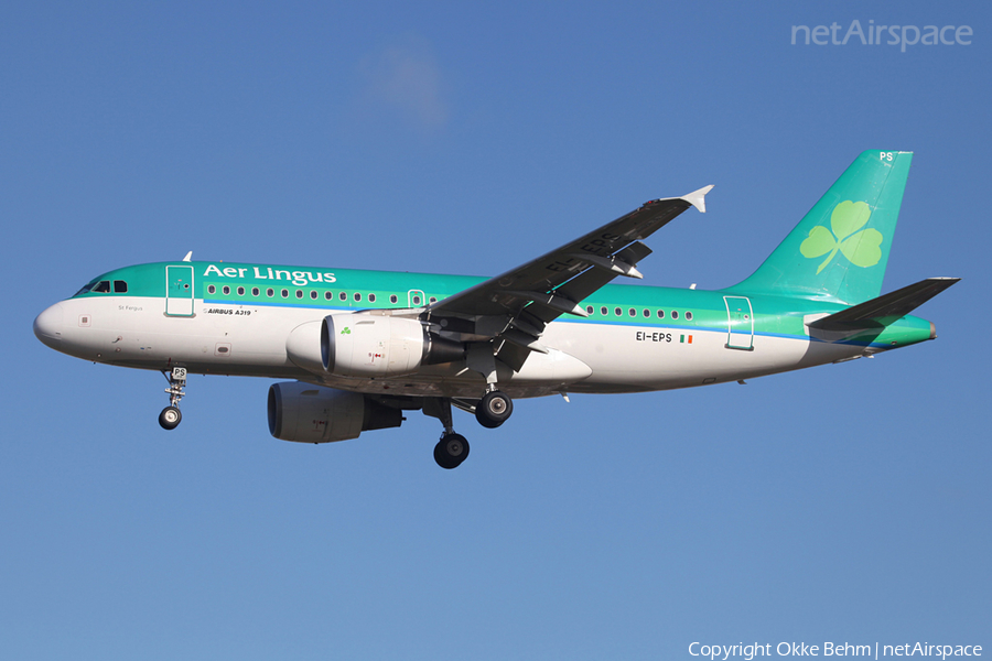 Aer Lingus Airbus A319-111 (EI-EPS) | Photo 52119