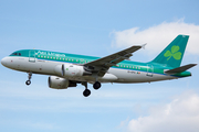 Aer Lingus Airbus A319-111 (EI-EPU) at  London - Heathrow, United Kingdom