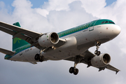 Aer Lingus Airbus A319-111 (EI-EPU) at  London - Heathrow, United Kingdom