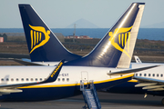 Ryanair Boeing 737-8AS (EI-EST) at  Tenerife Sur - Reina Sofia, Spain