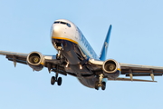 Ryanair Boeing 737-8AS (EI-EVB) at  Tenerife Sur - Reina Sofia, Spain