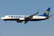 Ryanair Boeing 737-8AS (EI-EVF) at  Frankfurt am Main, Germany