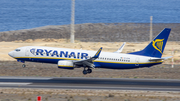 Ryanair Boeing 737-8AS (EI-EVN) at  Tenerife Sur - Reina Sofia, Spain