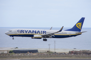 Ryanair Boeing 737-8AS (EI-EVS) at  Tenerife Sur - Reina Sofia, Spain