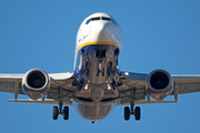 Ryanair Boeing 737-8AS (EI-EVV) at  Tenerife Sur - Reina Sofia, Spain