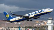 Ryanair Boeing 737-8AS (EI-EXF) at  Tenerife Sur - Reina Sofia, Spain
