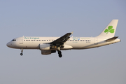 Aer Lingus Airbus A320-214 (EI-FCC) at  Tenerife Sur - Reina Sofia, Spain