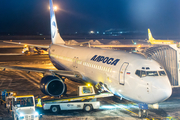 Alrosa Mirny Air Enterprise Boeing 737-83N (EI-FCH) at  Novosibirsk Tolmachevo, Russia