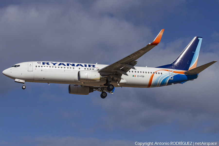 Ryanair Boeing 737-8KN (EI-FEB) | Photo 150088