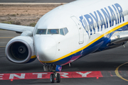 Ryanair Boeing 737-8AS (EI-FEF) at  Tenerife Sur - Reina Sofia, Spain