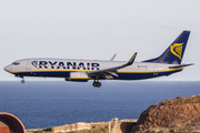 Ryanair Boeing 737-8AS (EI-FEI) at  Gran Canaria, Spain