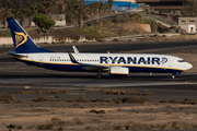 Ryanair Boeing 737-8AS (EI-FEI) at  Gran Canaria, Spain