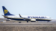 Ryanair Boeing 737-8AS (EI-FEI) at  Tenerife Sur - Reina Sofia, Spain