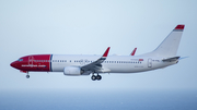 Norwegian Air Shuttle Boeing 737-8JP (EI-FHL) at  Tenerife Sur - Reina Sofia, Spain