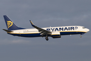 Ryanair Boeing 737-8AS (EI-FIF) at  Amsterdam - Schiphol, Netherlands