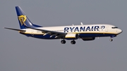 Ryanair Boeing 737-8AS (EI-FIK) at  Madrid - Barajas, Spain