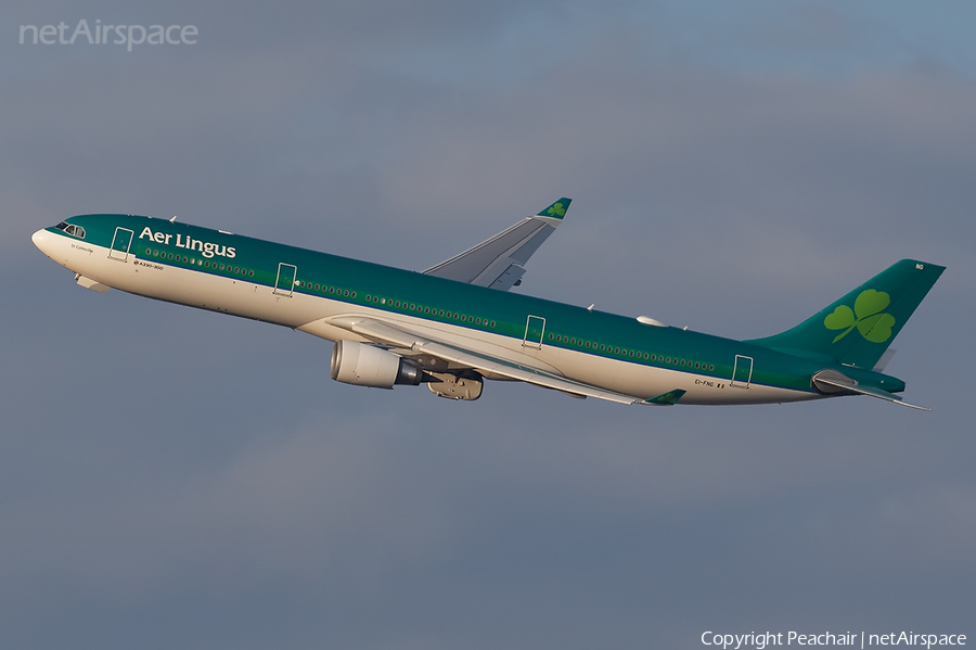 Aer Lingus Airbus A330-302X (EI-FNG) | Photo 190859