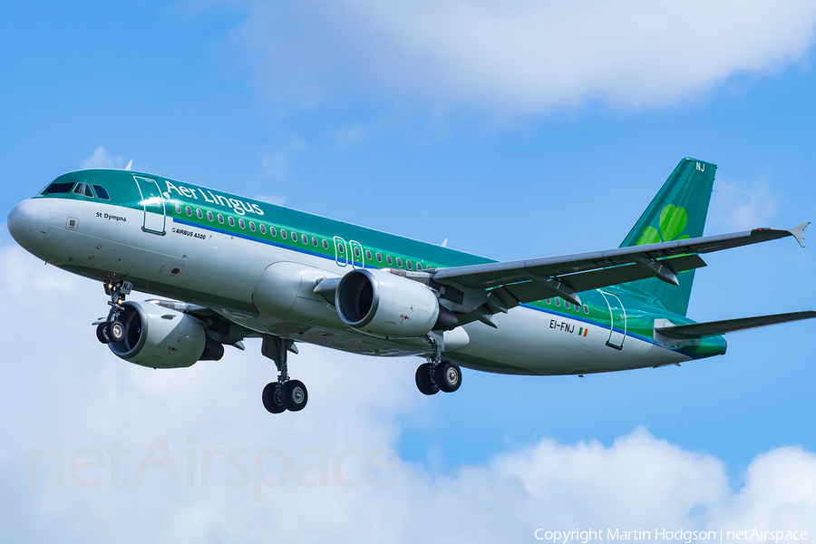Aer Lingus Airbus A320-214 (EI-FNJ) | Photo 243822
