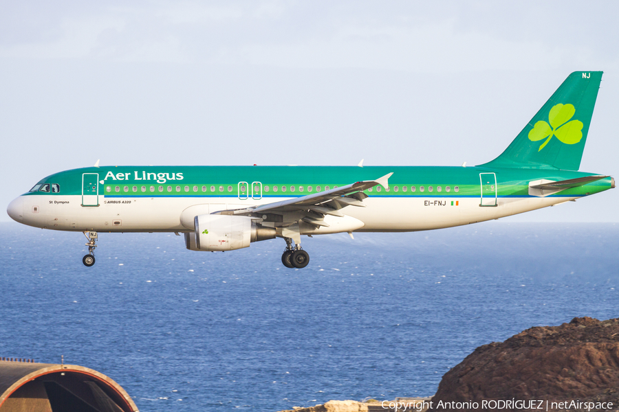 Aer Lingus Airbus A320-214 (EI-FNJ) | Photo 206037