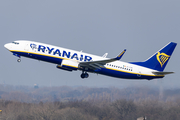 Ryanair Boeing 737-8AS (EI-FOE) at  Brussels - International, Belgium