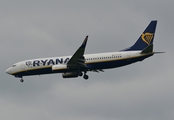 Ryanair Boeing 737-8AS (EI-FOG) at  Belfast / Aldergrove - International, United Kingdom