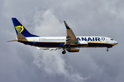 Ryanair Boeing 737-8AS (EI-FOG) at  Fuerteventura, Spain