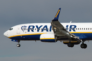 Ryanair Boeing 737-8AS (EI-FOH) at  Barcelona - El Prat, Spain