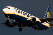 Ryanair Boeing 737-8AS (EI-FOK) at  Hamburg - Fuhlsbuettel (Helmut Schmidt), Germany