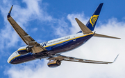 Ryanair Boeing 737-8AS (EI-FOL) at  Madrid - Barajas, Spain