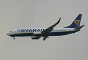 Ryanair Boeing 737-8AS (EI-FRN) at  Belfast / Aldergrove - International, United Kingdom