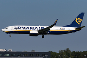 Ryanair Boeing 737-8AS (EI-FRZ) at  Amsterdam - Schiphol, Netherlands