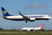 Ryanair Boeing 737-8AS (EI-FTM) at  Dublin, Ireland
