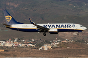 Ryanair Boeing 737-8AS (EI-FZL) at  Gran Canaria, Spain