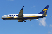 Ryanair Boeing 737-8AS (EI-FZN) at  Barcelona - El Prat, Spain