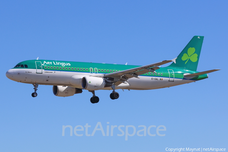 Aer Lingus Airbus A320-214 (EI-GAL) | Photo 185155