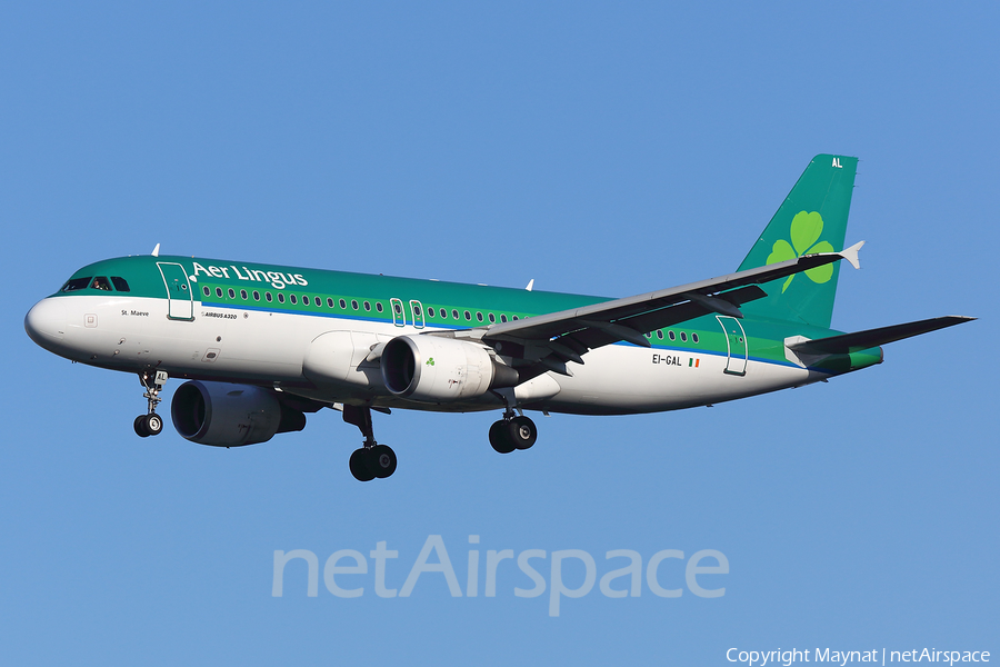 Aer Lingus Airbus A320-214 (EI-GAL) | Photo 233028