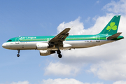 Aer Lingus Airbus A320-214 (EI-GAL) at  London - Heathrow, United Kingdom