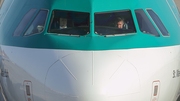 Aer Lingus Airbus A320-214 (EI-GAL) at  Tenerife Sur - Reina Sofia, Spain