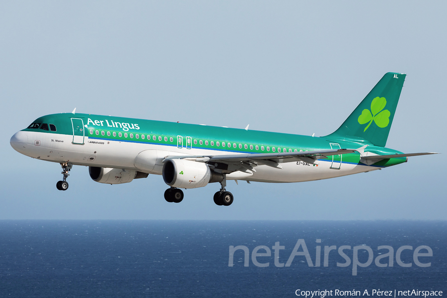 Aer Lingus Airbus A320-214 (EI-GAL) | Photo 456859