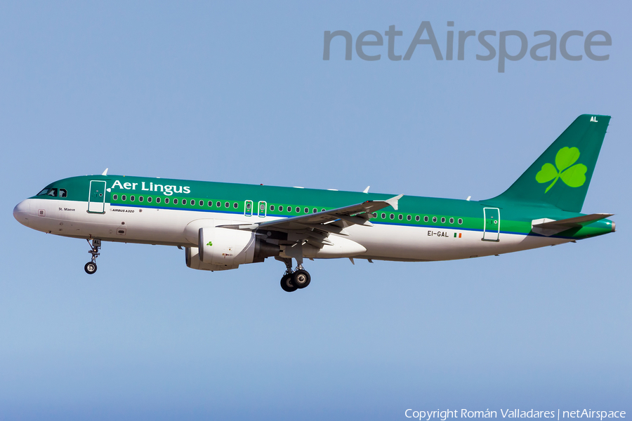 Aer Lingus Airbus A320-214 (EI-GAL) | Photo 458589