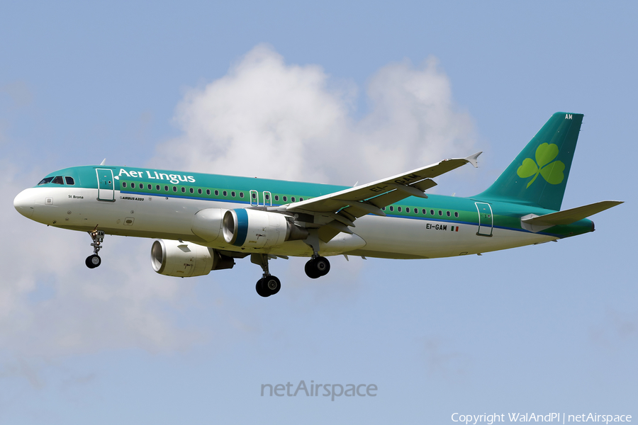 Aer Lingus Airbus A320-214 (EI-GAM) | Photo 520175