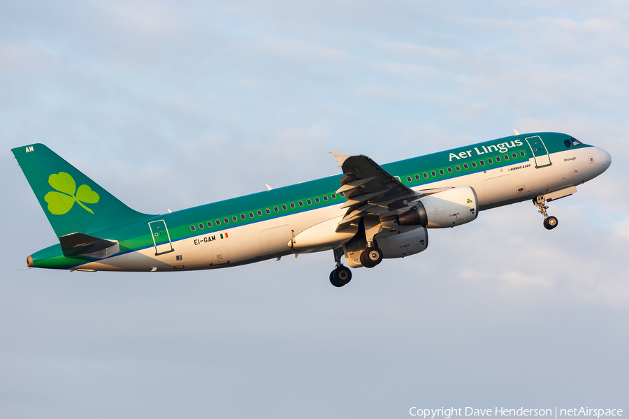 Aer Lingus Airbus A320-214 (EI-GAM) | Photo 247347