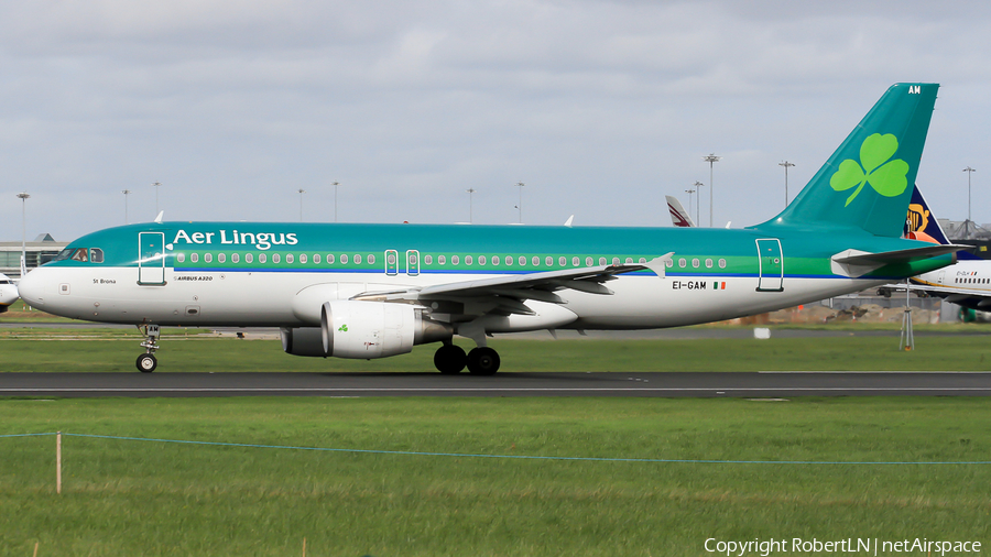 Aer Lingus Airbus A320-214 (EI-GAM) | Photo 593074