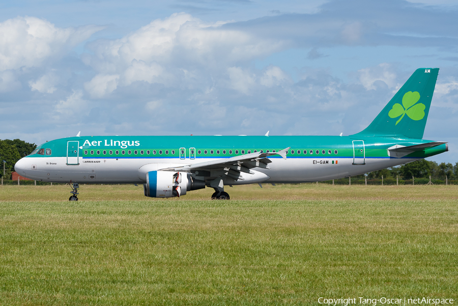 Aer Lingus Airbus A320-214 (EI-GAM) | Photo 611403