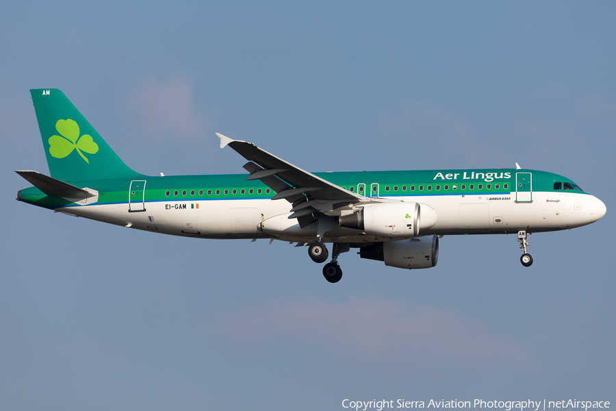 Aer Lingus Airbus A320-214 (EI-GAM) | Photo 323189