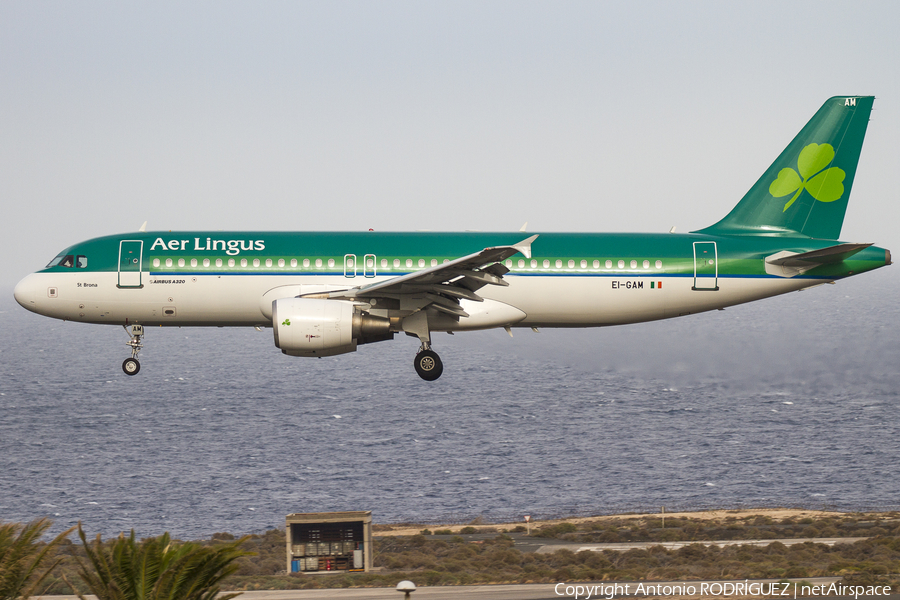 Aer Lingus Airbus A320-214 (EI-GAM) | Photo 170428