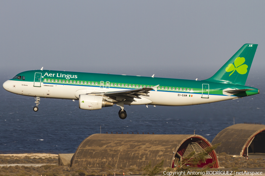 Aer Lingus Airbus A320-214 (EI-GAM) | Photo 180702