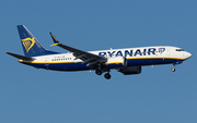 Ryanair Boeing 737-8-200 (EI-HEV) at  Cologne/Bonn, Germany