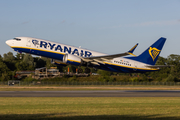 Ryanair Boeing 737-8-200 (EI-HEZ) at  Hamburg - Fuhlsbuettel (Helmut Schmidt), Germany